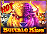 Buffalo King